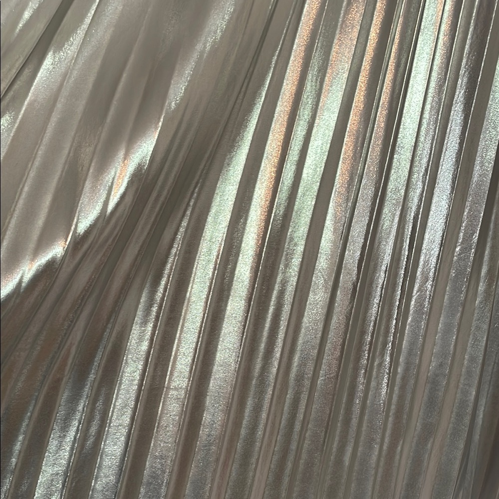 Tullea Silver Midi A-Line Skirt with Pleats - Picture 3 of 5